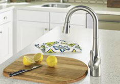 moen kitchen faucets